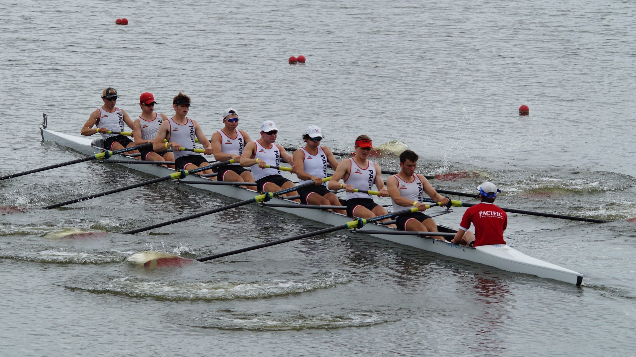 August Newsletter Vespoli